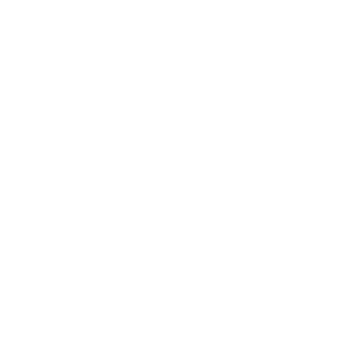 FI Quilters