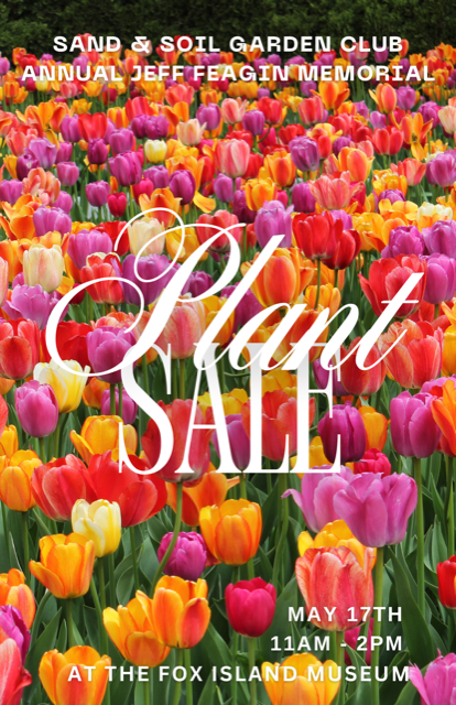 Flower plant sale png